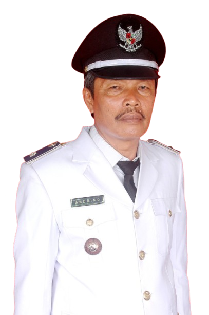 Wali Nagari Balai Gurah